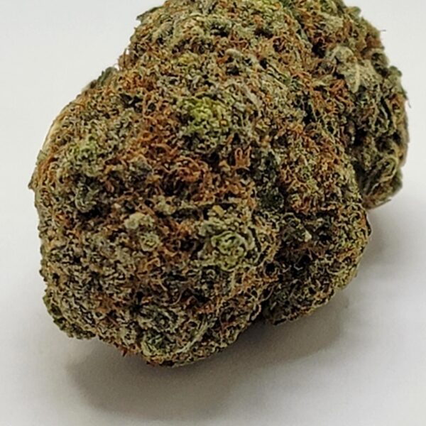 ROCKSTAR TUNA (AA) - Image 2