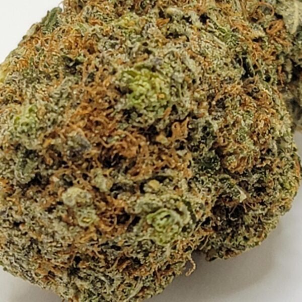 ROCKSTAR TUNA (AA) - Image 3