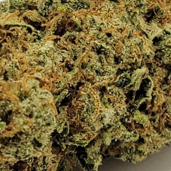 SOUR TANGIE (AA) - Image 3