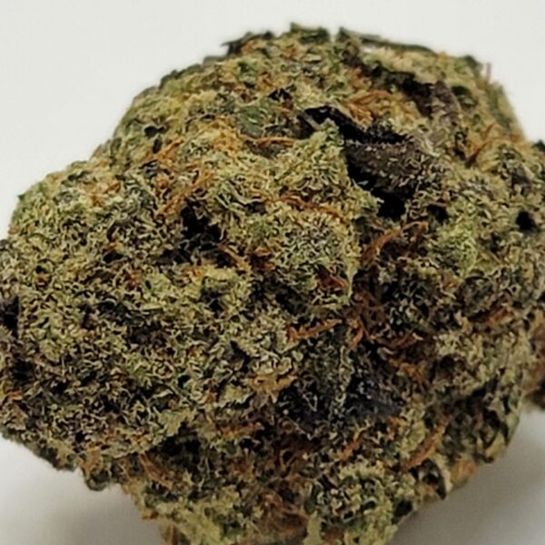 5G (AA) - Image 3