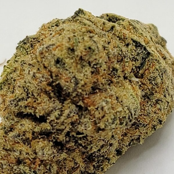 DRAGONFRUIT (AA) - Image 3