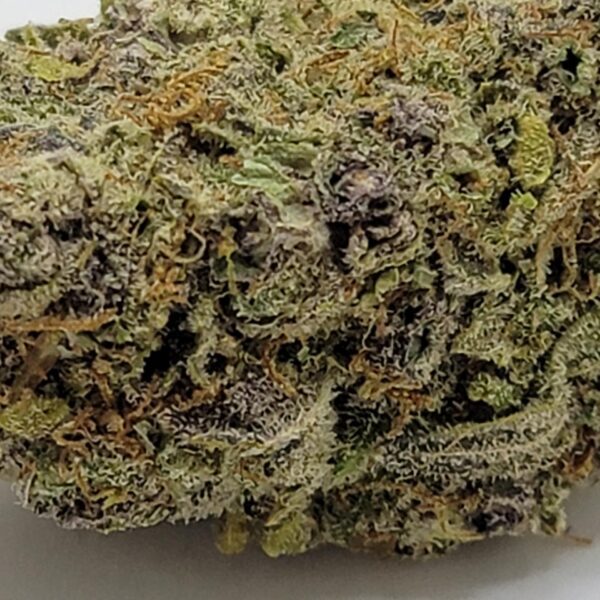 PURPLE POWER (AA) - Image 3