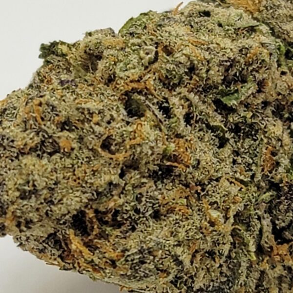 MINT CHOCOLATE CHIP (AA) - Image 3