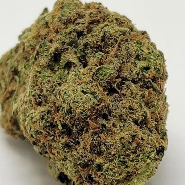 BUBBA GLUE (AA) - Image 3