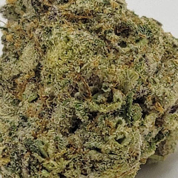 MONKEY SPUNK (AAAA) - Image 3