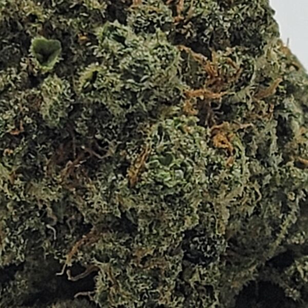 PEP-O-CHEM (AAAA) - Image 3