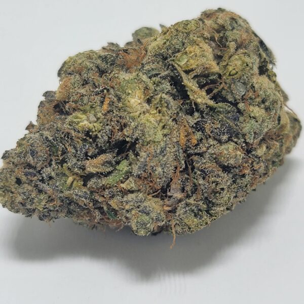 GELATO (A) - Image 2