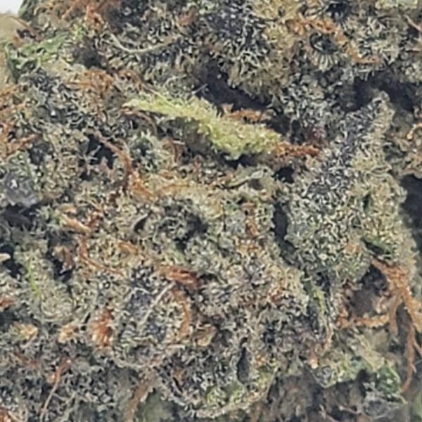SKULLCAP (AA) - Image 3