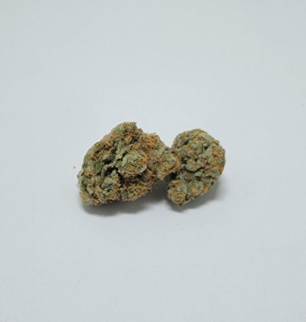 FRUIT GUSHERS (AA)