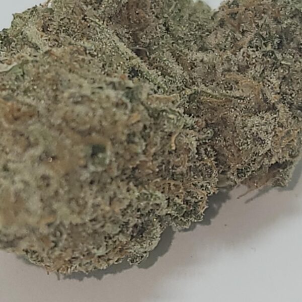 SOUR MINTS (A) - Image 3