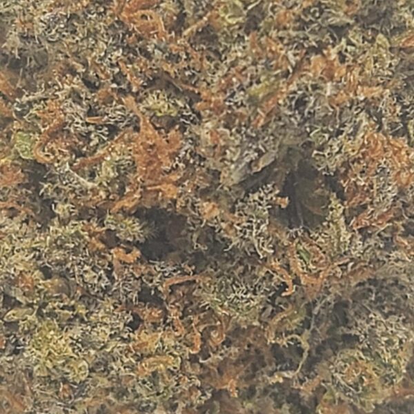 KING CAKE (AAA) - Image 3