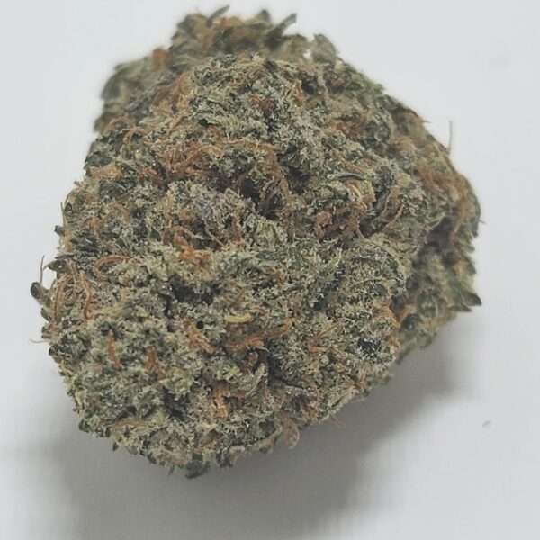 PURPLE GAS (AA) - Image 2
