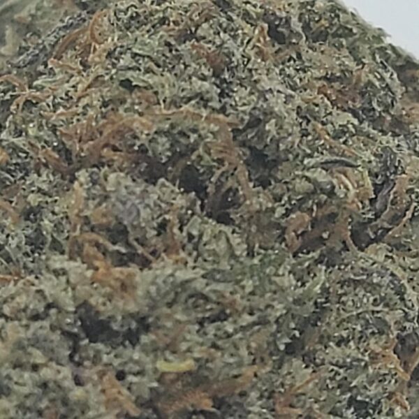 PURPLE GAS (AA) - Image 3