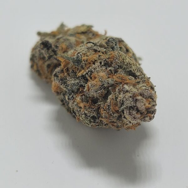 PLATINUM BUFFALO (AAA) - Image 2