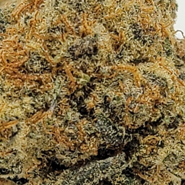 TK 43 (AAAA) - Image 3