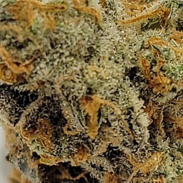 CANNALOPE HAZE (AAAA) - Image 3