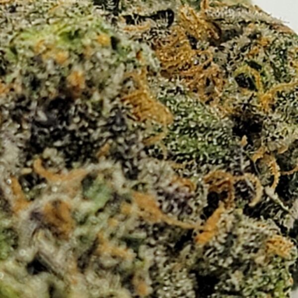 COLIN OG (AAAA) - Image 3