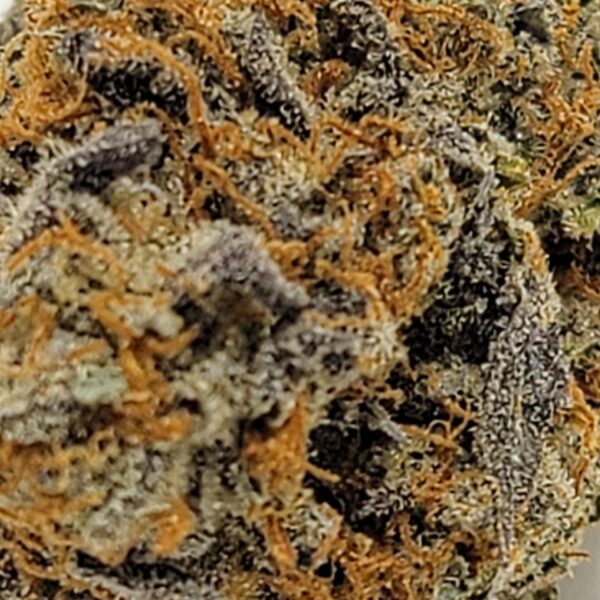 TRIPLE CHOCOLATE CHIP  (AAAA) - Image 3