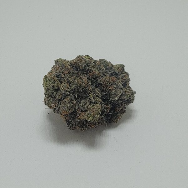 ROCKSTAR  (AAAA)