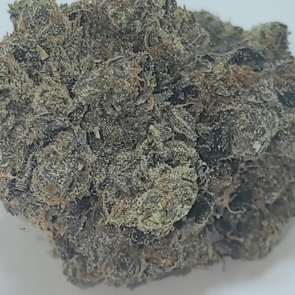 ROCKSTAR  (AAAA) - Image 2