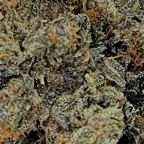 ROCKSTAR  (AAAA) - Image 3