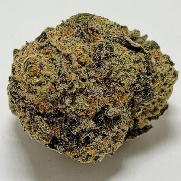 PANDEMIC APE   (AAAA) - Image 2