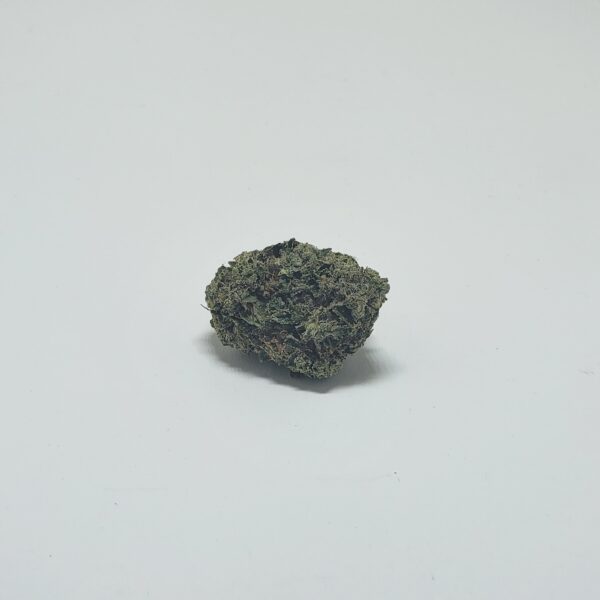 GYPSY (A) - Image 2