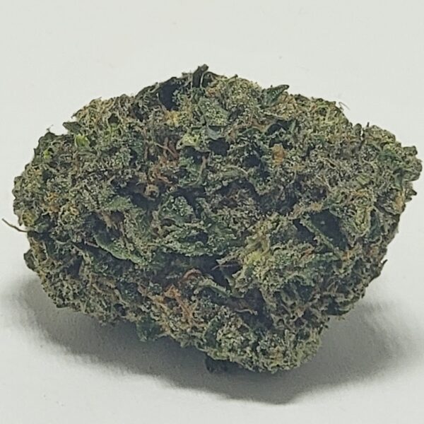 GYPSY (A) - Image 3