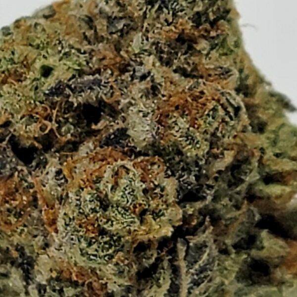 RUNTZ CAKE  (A) - Image 3
