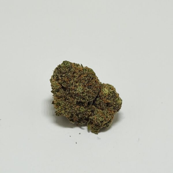 OOZED  (AA) - Image 2