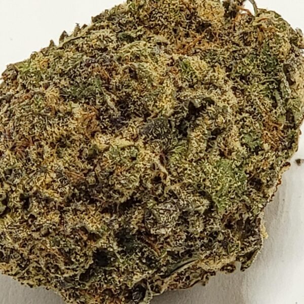 BLACK CHERRY  (AA) - Image 3