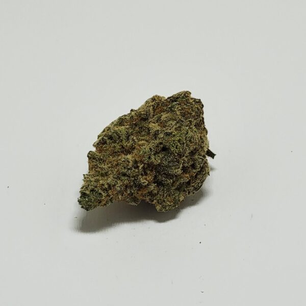 SENSI STAR  (AA) - Image 2