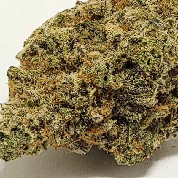 SENSI STAR  (AA) - Image 3