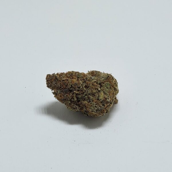 BLACK GARLIC  (AA) - Image 2