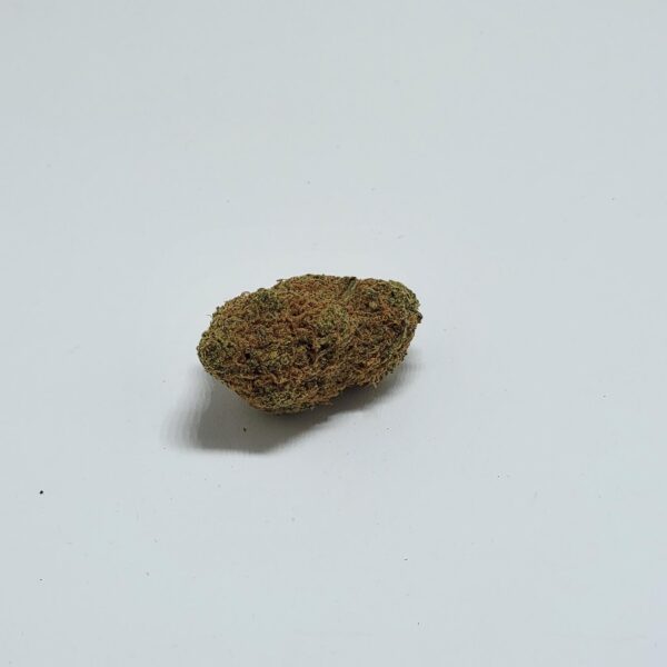 GORILLA ZKITTLEZ   (AAA) - Image 2