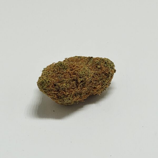 GORILLA ZKITTLEZ   (AAA)