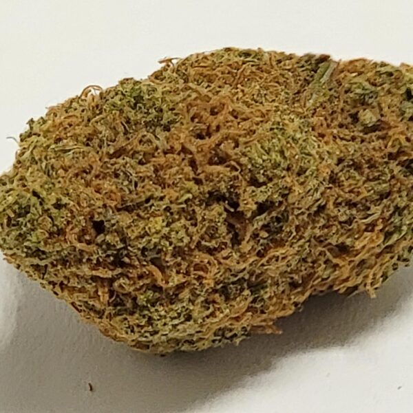GORILLA ZKITTLEZ   (AAA) - Image 3