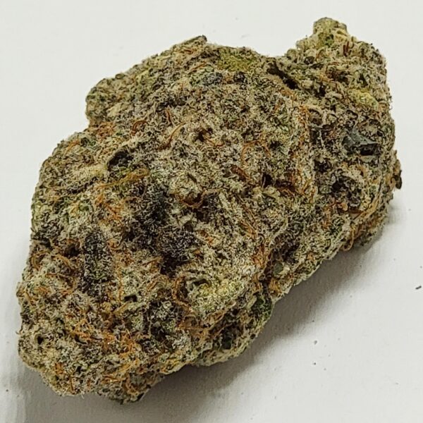 GRAPE MAC   (AAAA) - Image 3