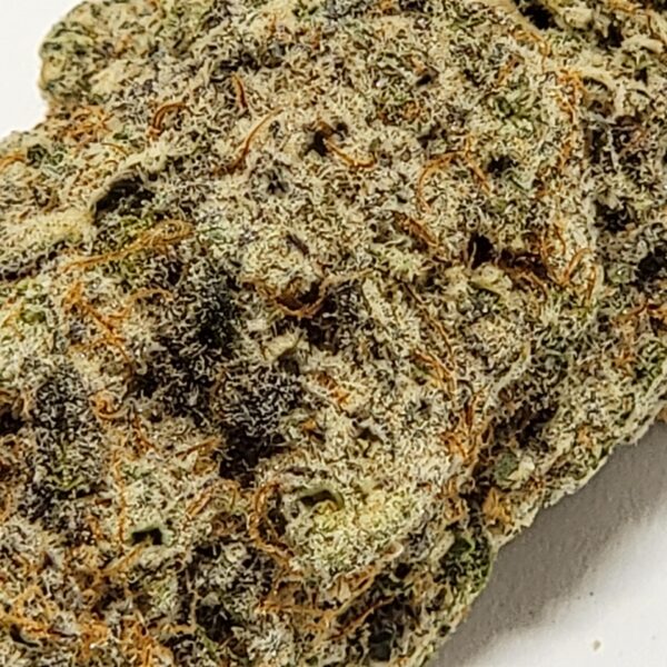 GRAPE MAC   (AAAA) - Image 4