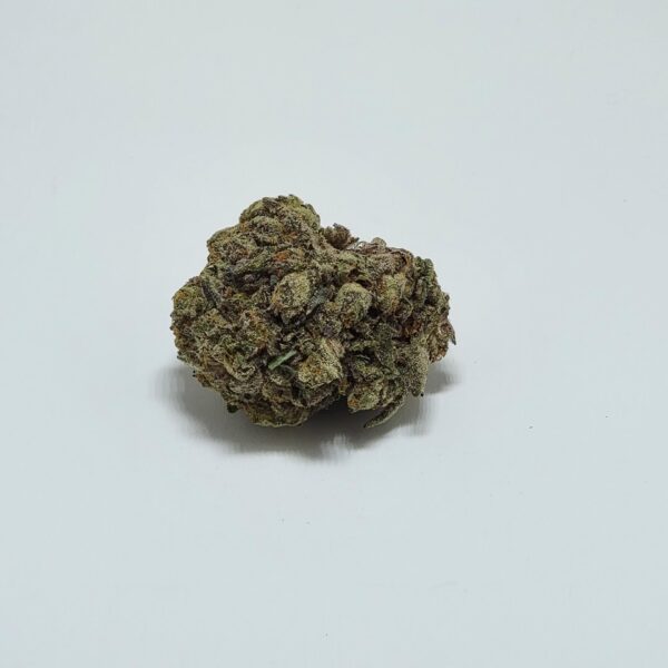 SUPER SOAKER   (AAAA) - Image 2