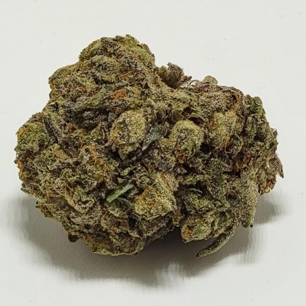 SUPER SOAKER   (AAAA) - Image 3