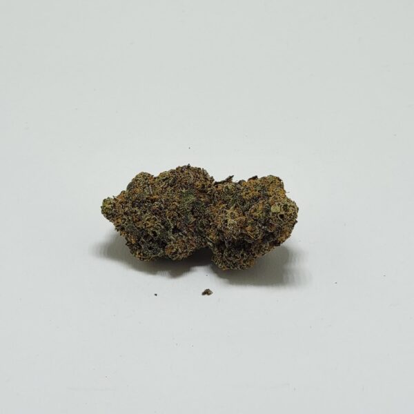 SOUTH BEACH   (AAAA) - Image 2