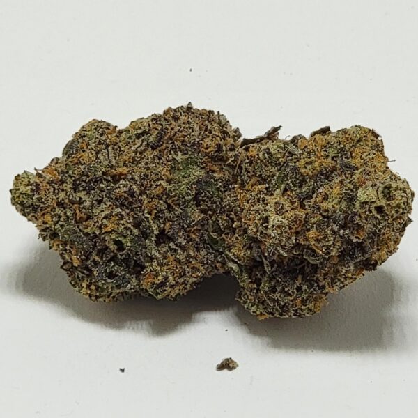 SOUTH BEACH   (AAAA) - Image 3