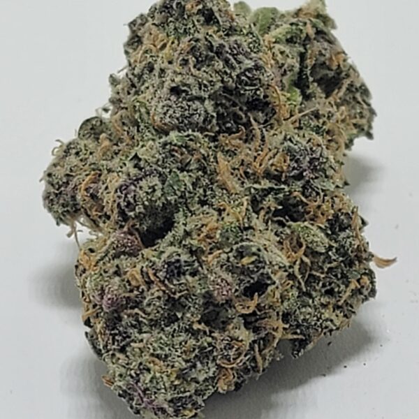 TROPICANA (AAAA) - Image 2