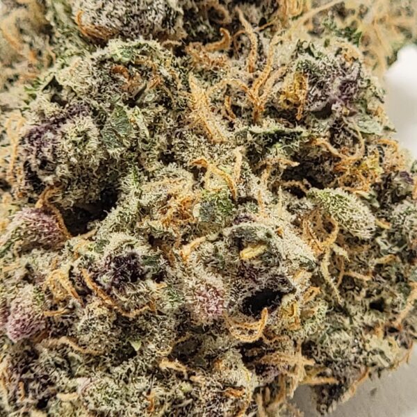 TROPICANA (AAAA) - Image 3