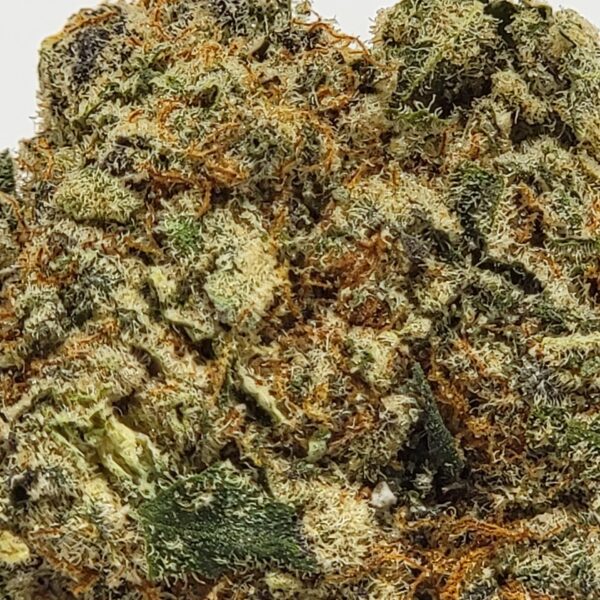 SOUTHERN SUGAR (AAAA) - Image 3