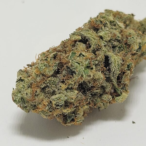 GRAPE GALENA (A) - Image 2