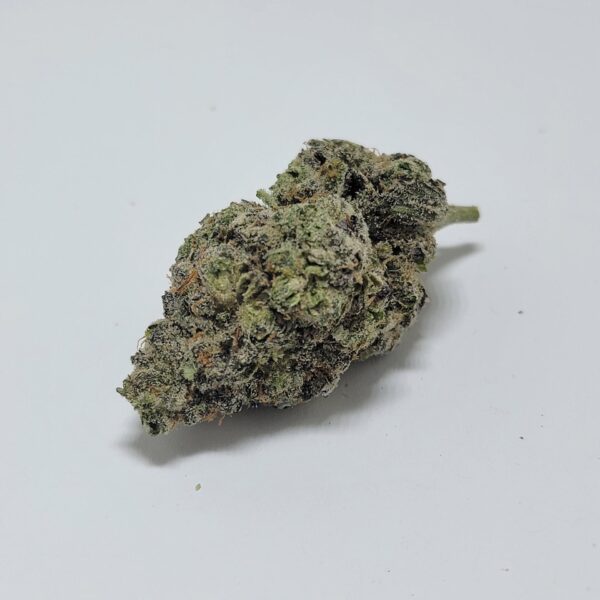MANGO DREAM (A)