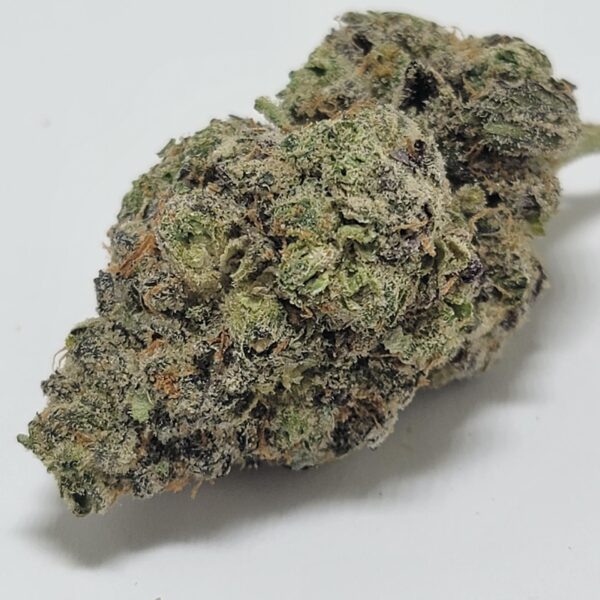 MANGO DREAM (A) - Image 2