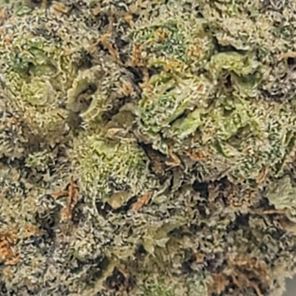MANGO DREAM (A) - Image 3